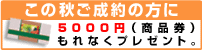 ������̕��ɁA���i��5000�~���v���[���g�B