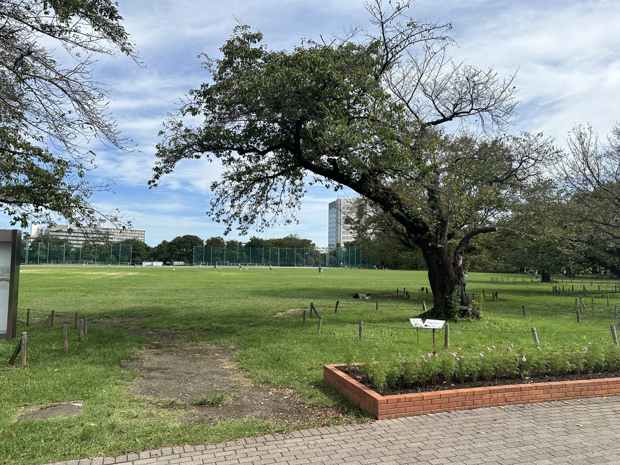 武蔵中央公園